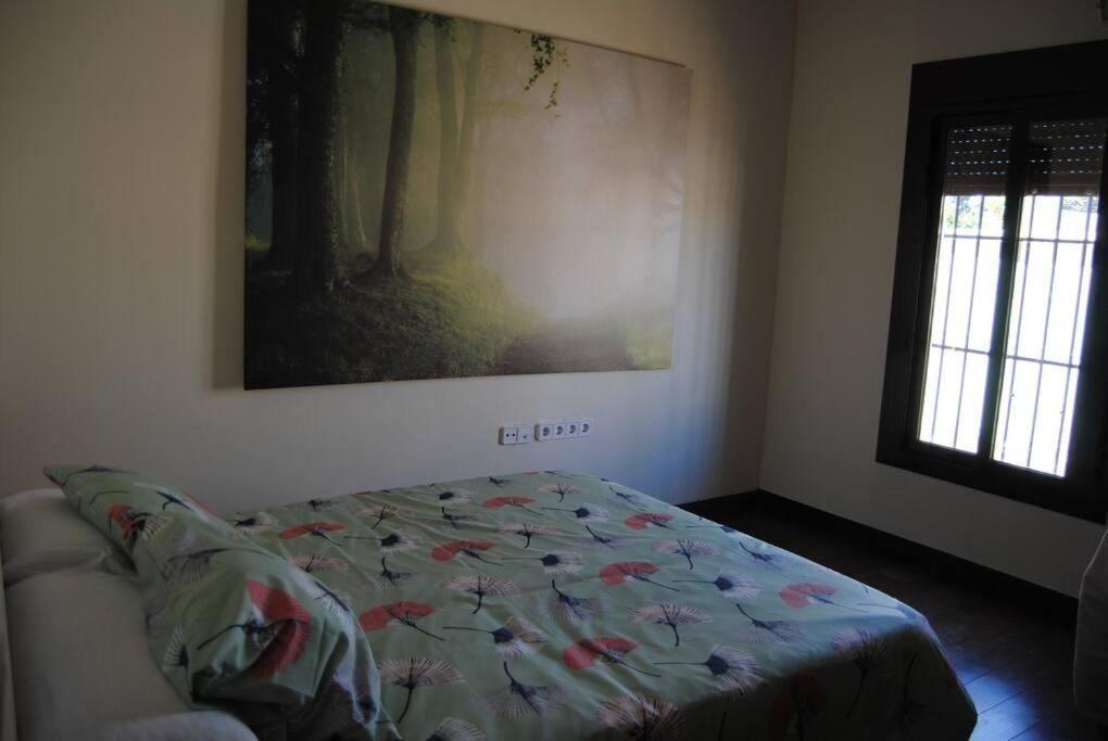 Villa Romina Piscina Privada 奇克拉纳－德拉弗龙特拉 外观 照片